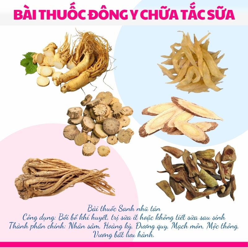 bài thuốc sanh nhũ tán chữa tắc tia sữa
